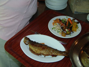 Essen im Yakapark bei Tlos